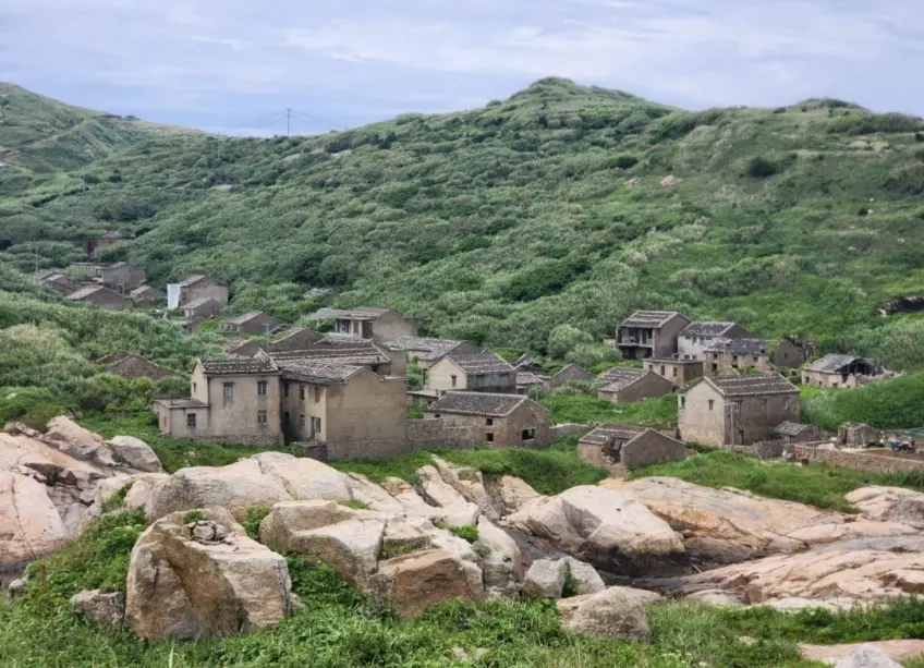 青浜無人村石屋山坡爬滿綠藤