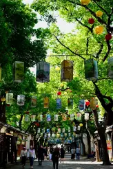 【锡扬江韵4天3晚】鼋头渚+梅园+南长街+拈花湾+灵山+东关街+瘦西湖+大明寺+金山寺+北固山