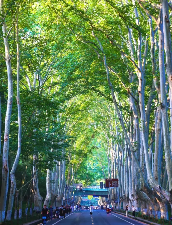 风景区
