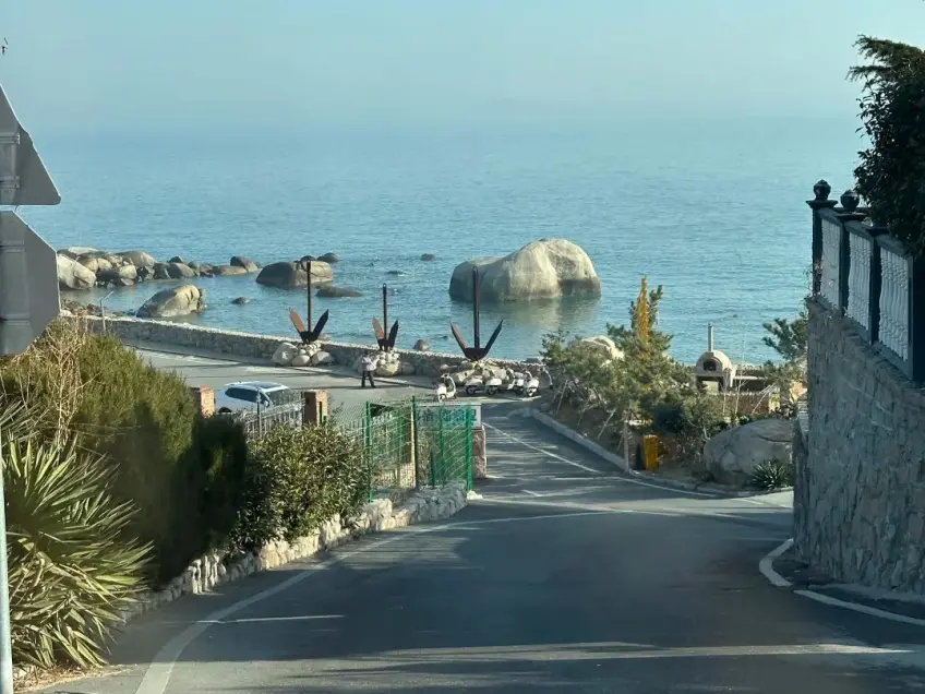 塔瑪線海景公路路邊小花望海