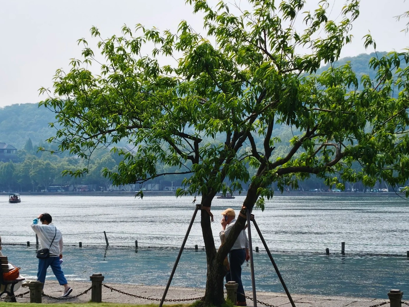 湖光山色