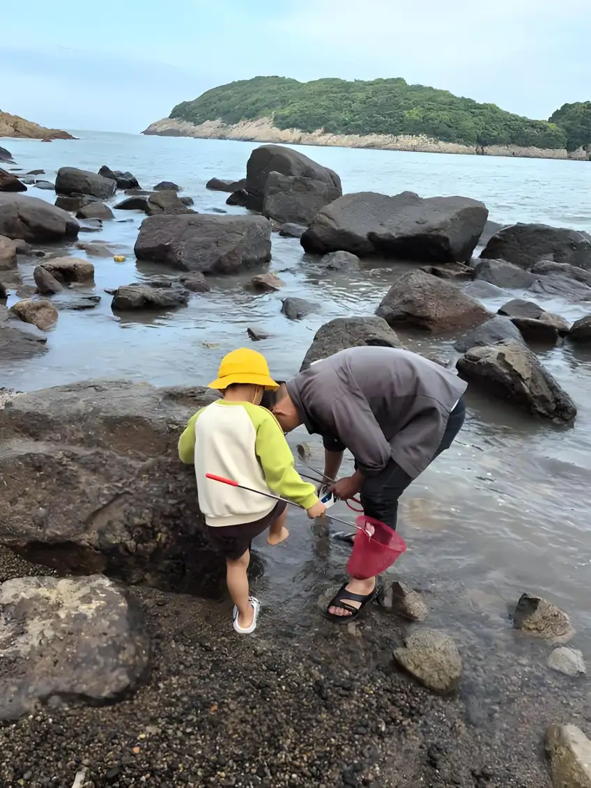 大人小孩礁石灘提紅桶趕海拾貝