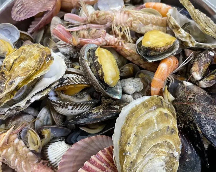 生蠔鮑魚皮皮蝦貝類拼盤