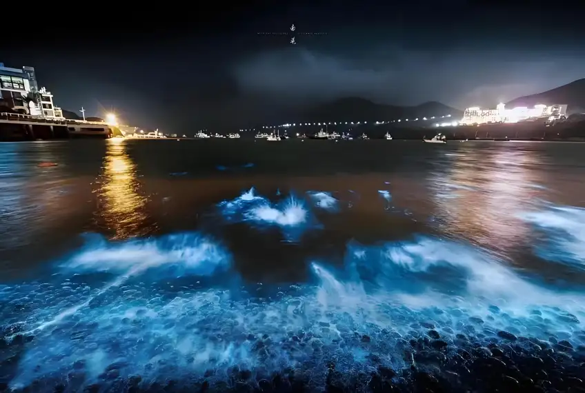 夜光藍淚熒光拍岸浪花與遠岸燈