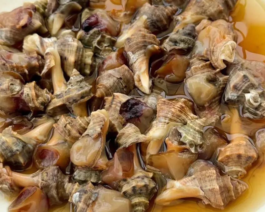 白碗醬汁浸泡海螺小食