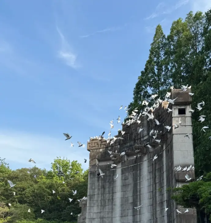 音乐台