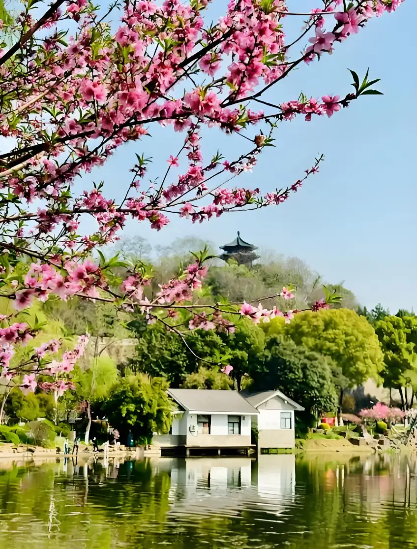 桃花臨水白屋與遠亭春景