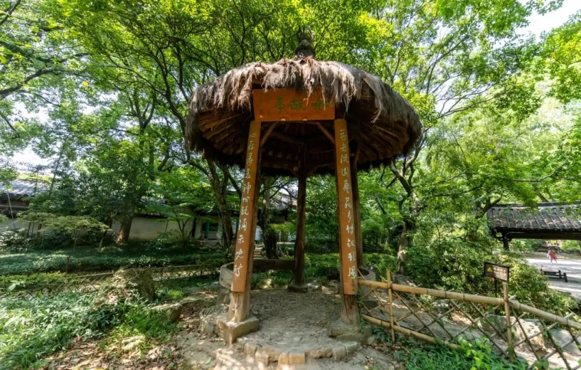 沈園如故亭草頂木構