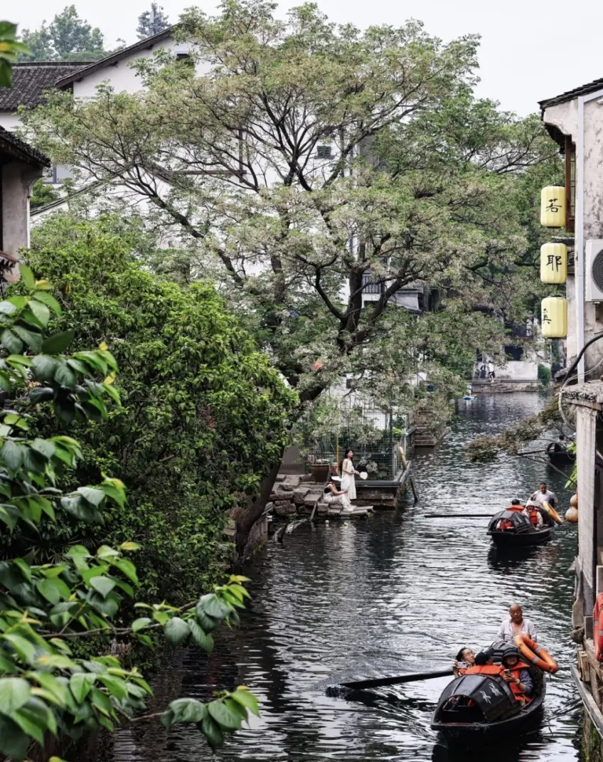 沈園外圍河道烏篷載客與岸邊黃燈籠