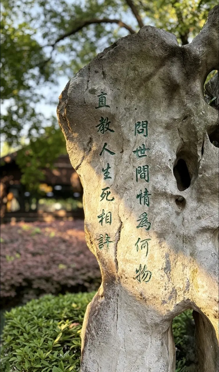 沈園問世間情為何物石刻