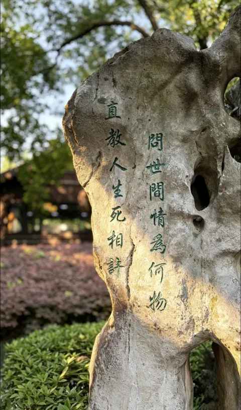 浙江绍兴不只有鲁迅故里,沈园这样玩更惬意 | 绍兴旅行路线建议