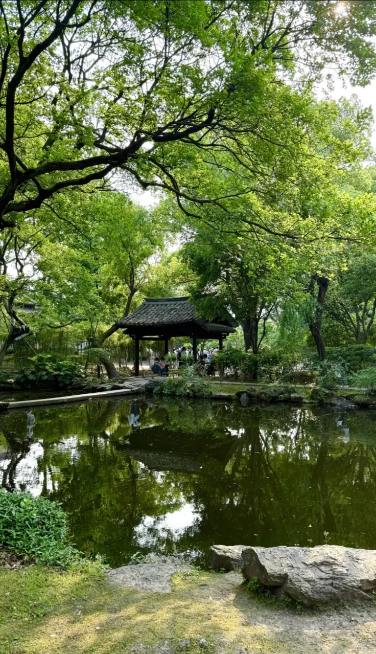 沈園大池塘水面與岸邊垂柳倒影
