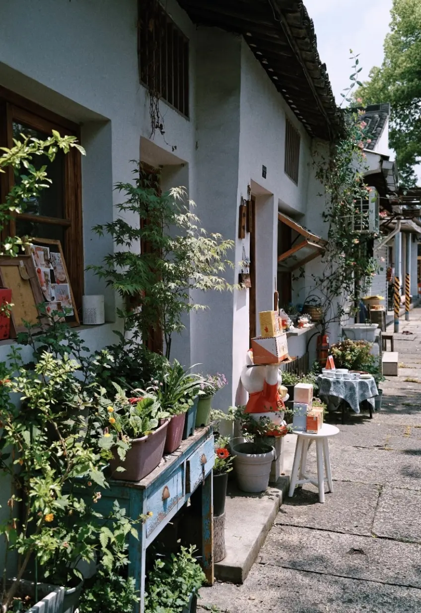 八字橋直街文藝小店櫥窗與簡約門面