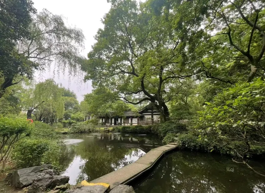 沈園池塘石橋與綠蔭倒影