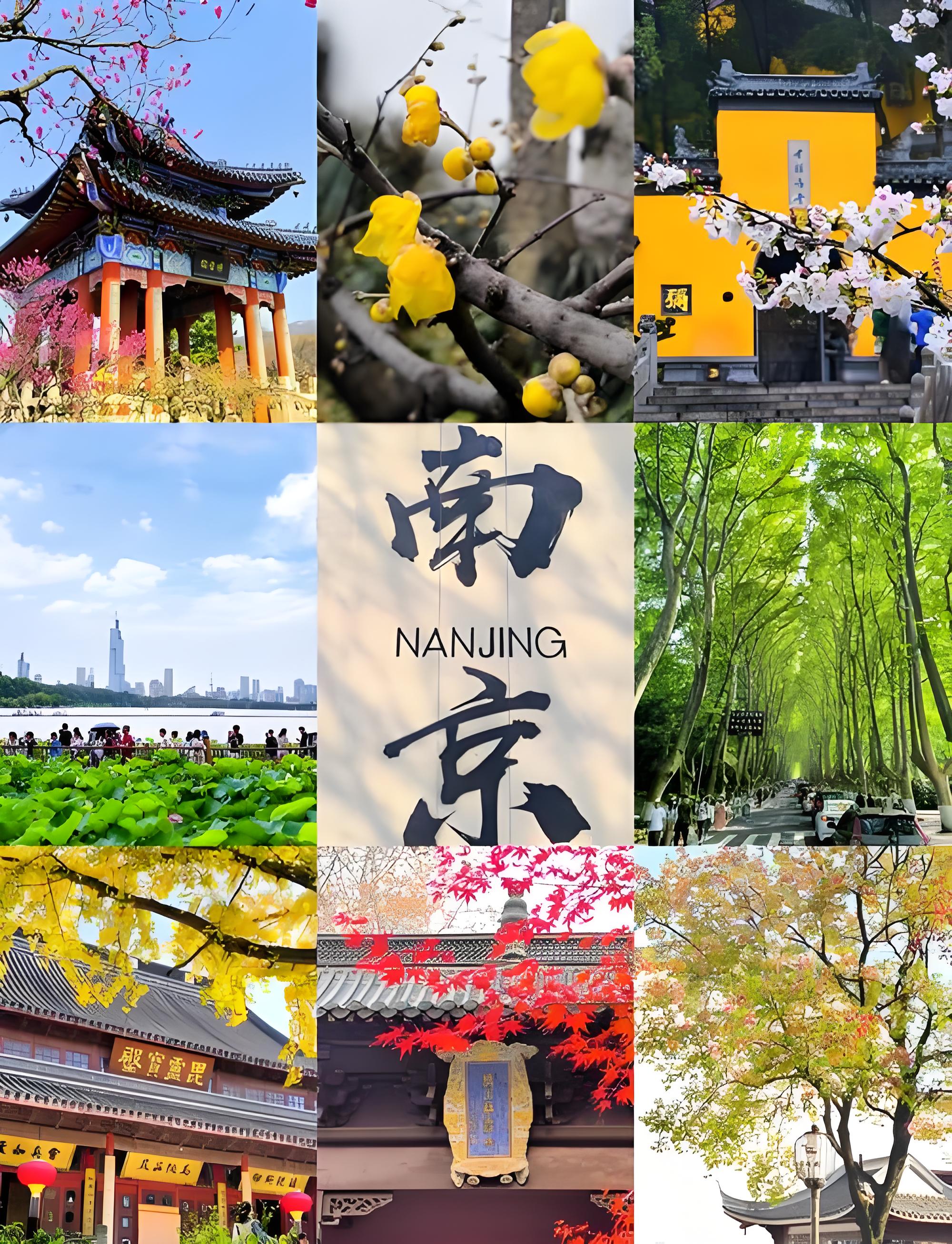 超实用南京四季旅行完整版攻略 春夏秋冬景色差异玩法美食避雷全详解