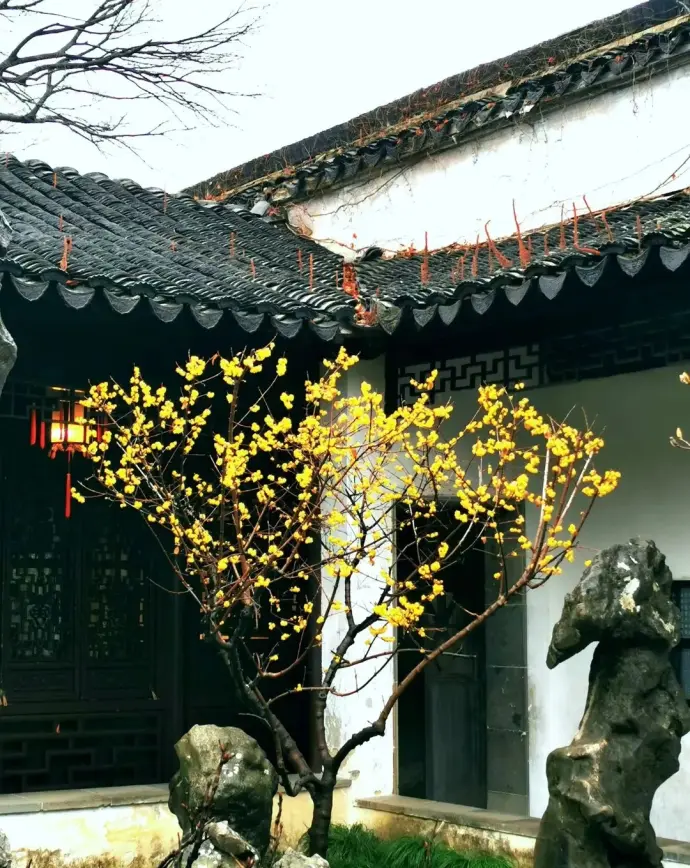 石林小院