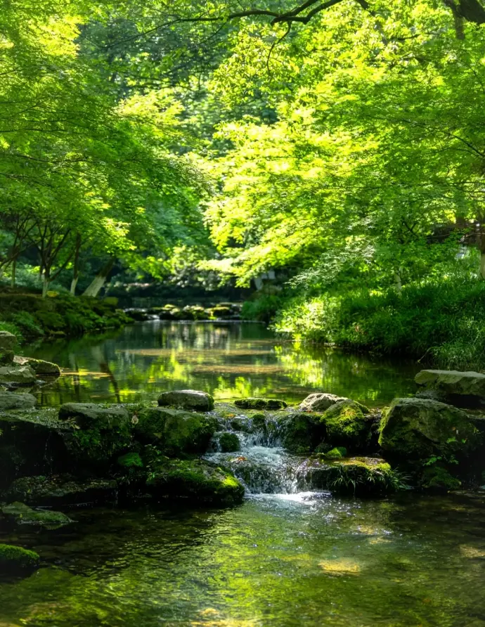 九溪烟树