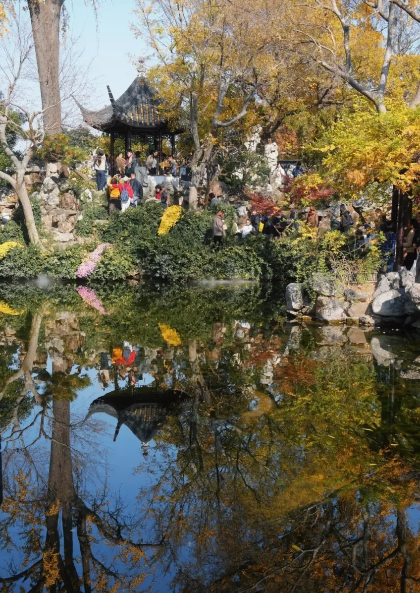 秋日六角亭金黄树影与水面倒影