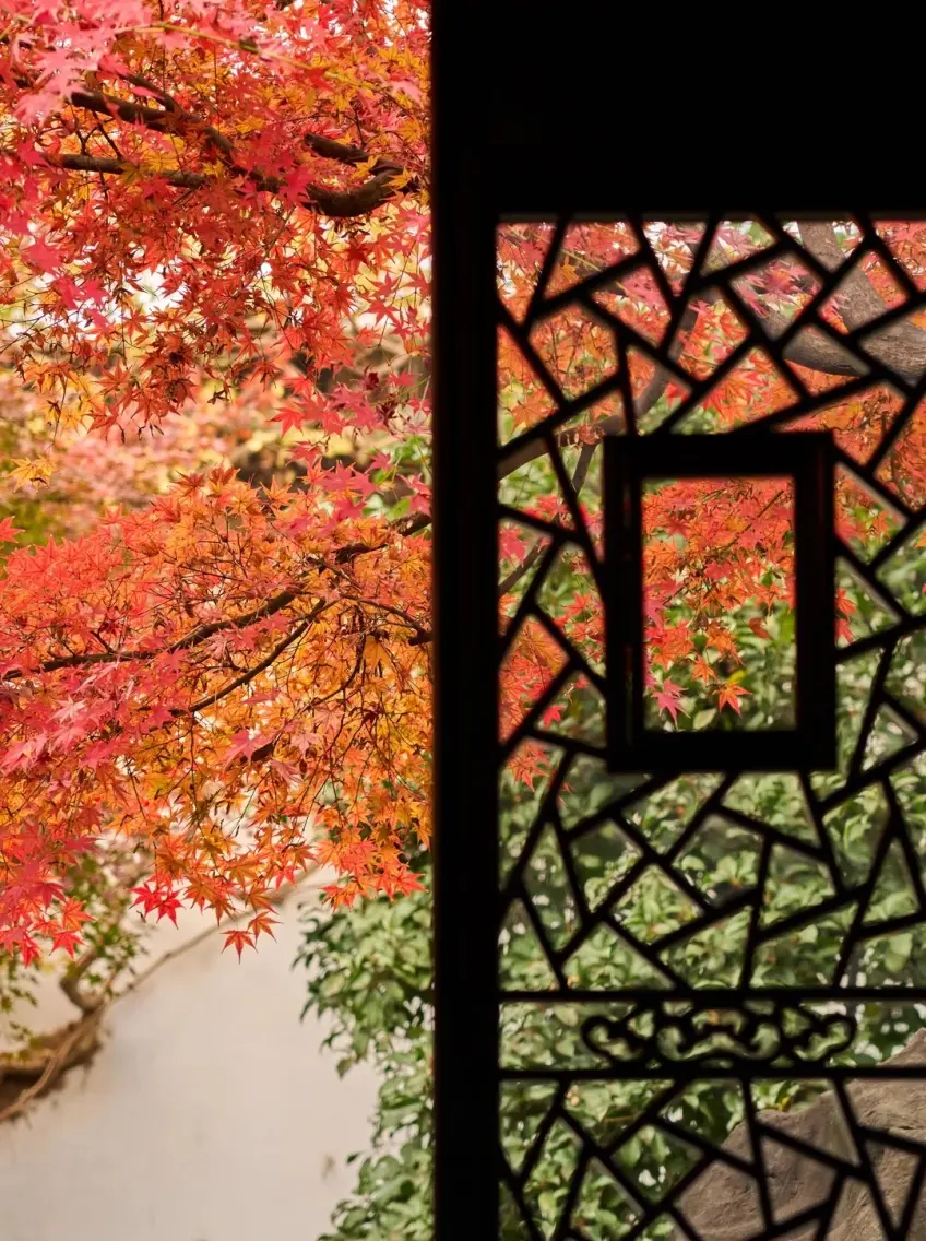 留園冰裂紋花窗框紅楓