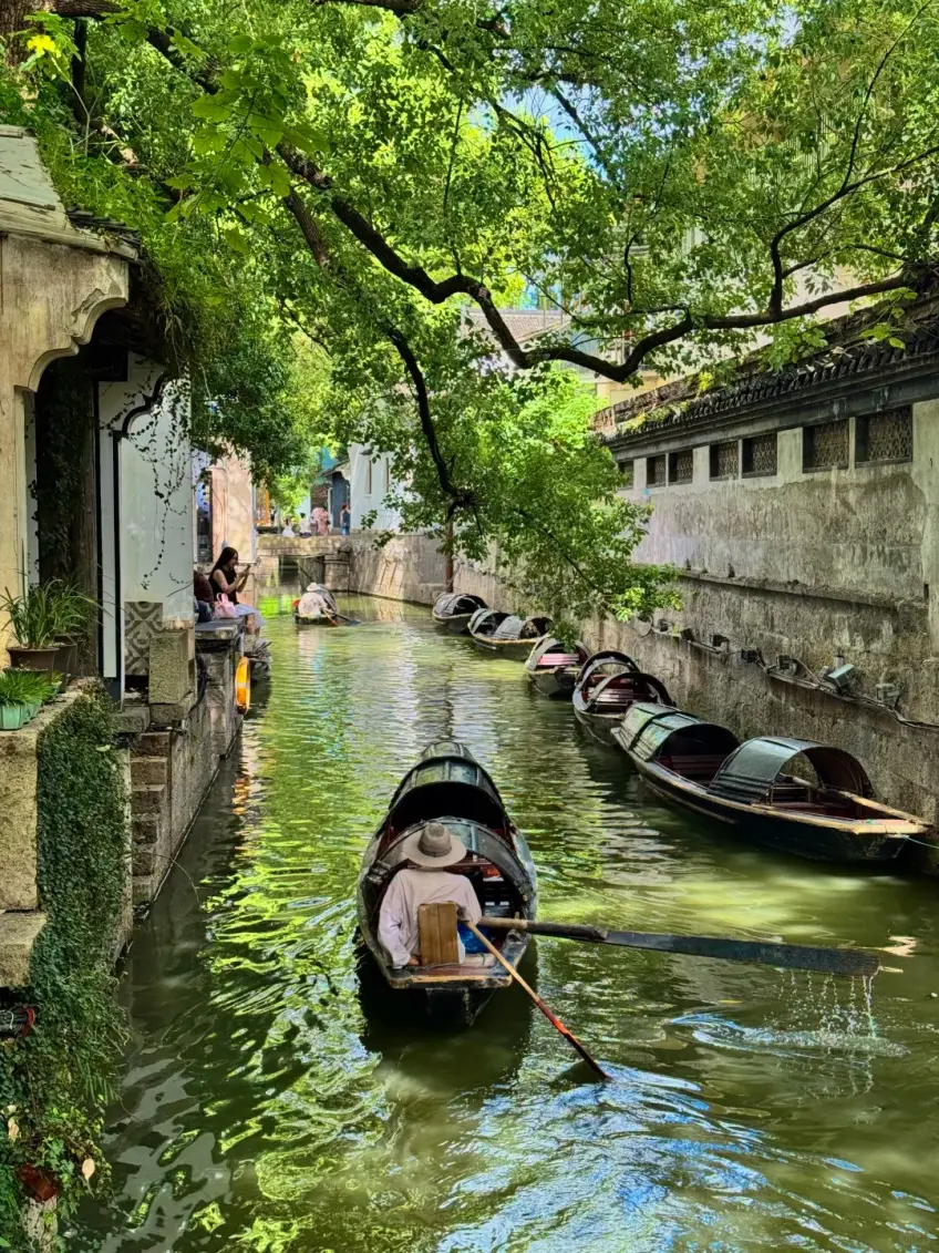 紹興水巷烏篷船船伕搖櫓日景