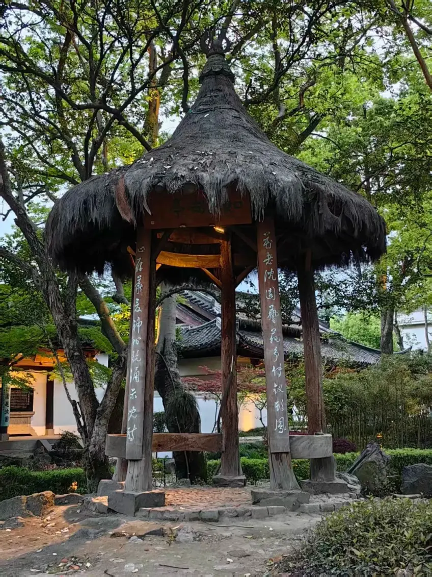 沈園茅草頂亭與竹叢日間景色