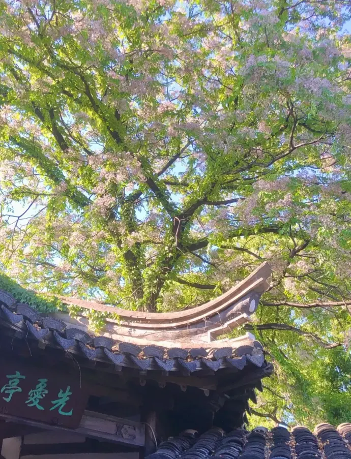 窗景