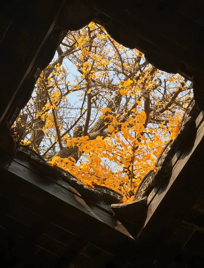 秋景