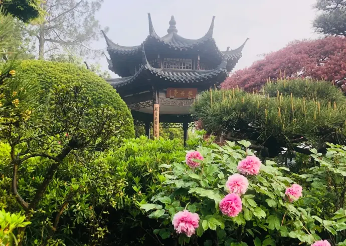 花港牡丹园