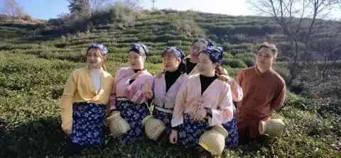 家人结伴去杭州旅行,绿色旅行网安排的龙井村茶农体验让大家都终身难忘
