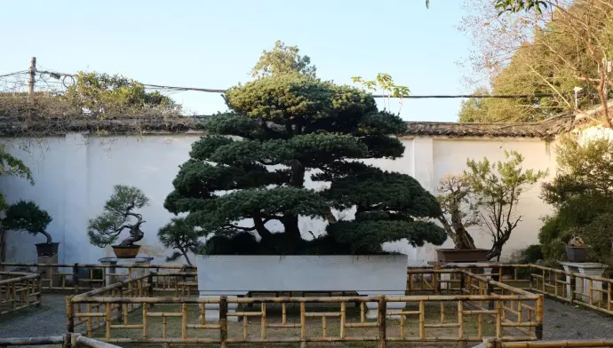 留园