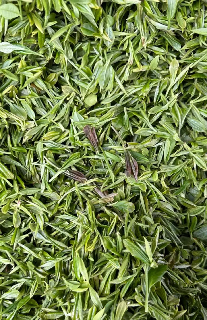 龙井村茶叶