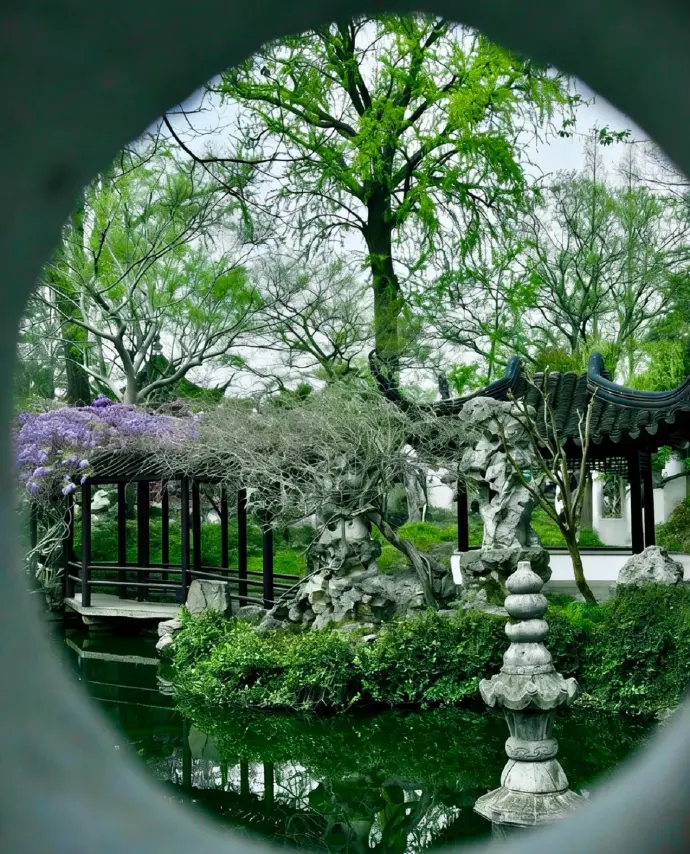 留园窗景