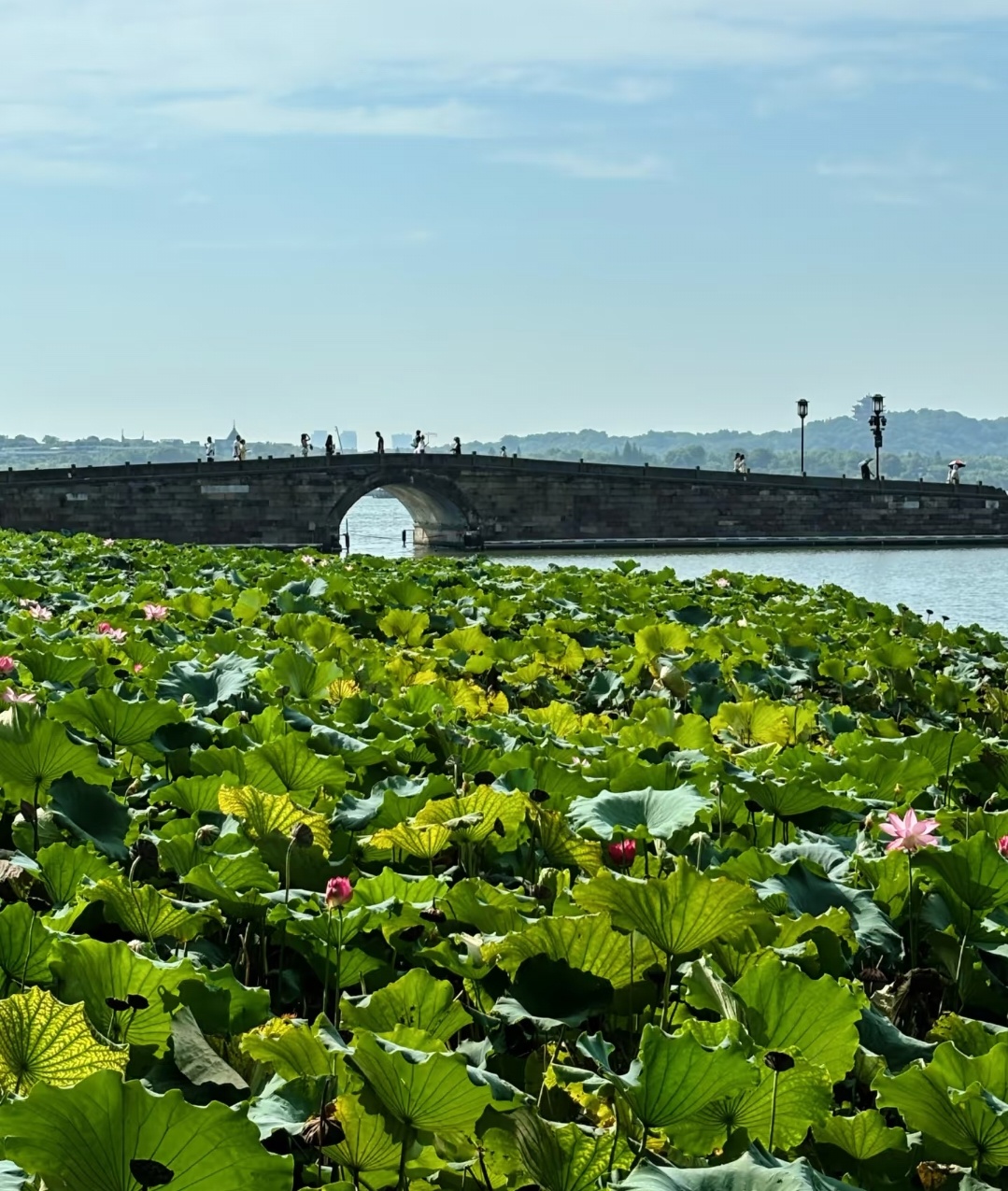 西湖
