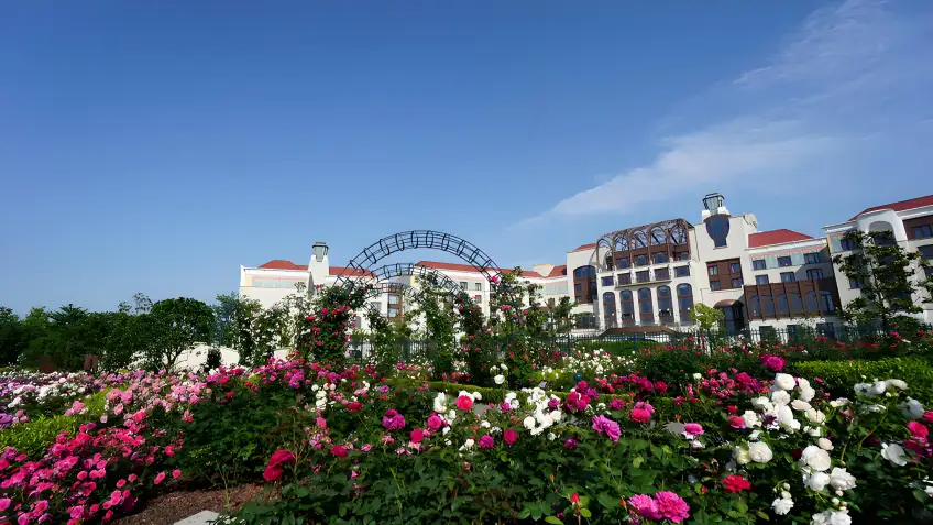 上海迪士尼樂園酒店外玫瑰花園與建築
