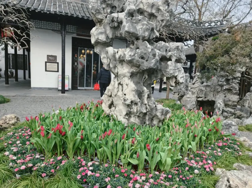 何园寄啸山庄湖石与花坛庭院