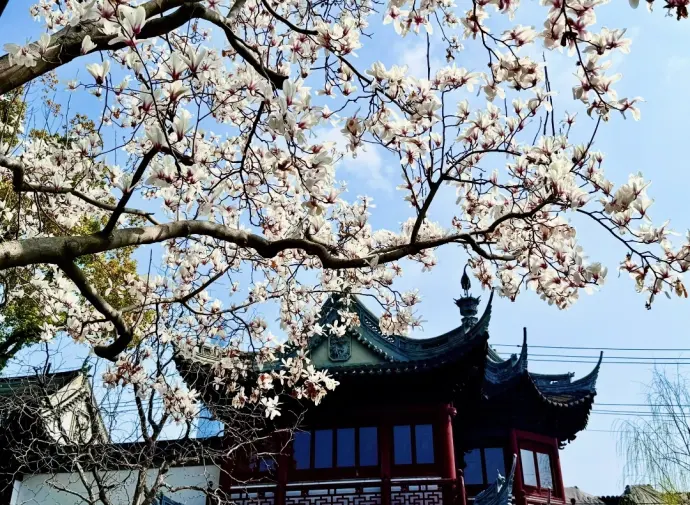 豫园春