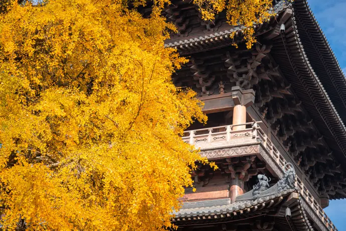 福善寺