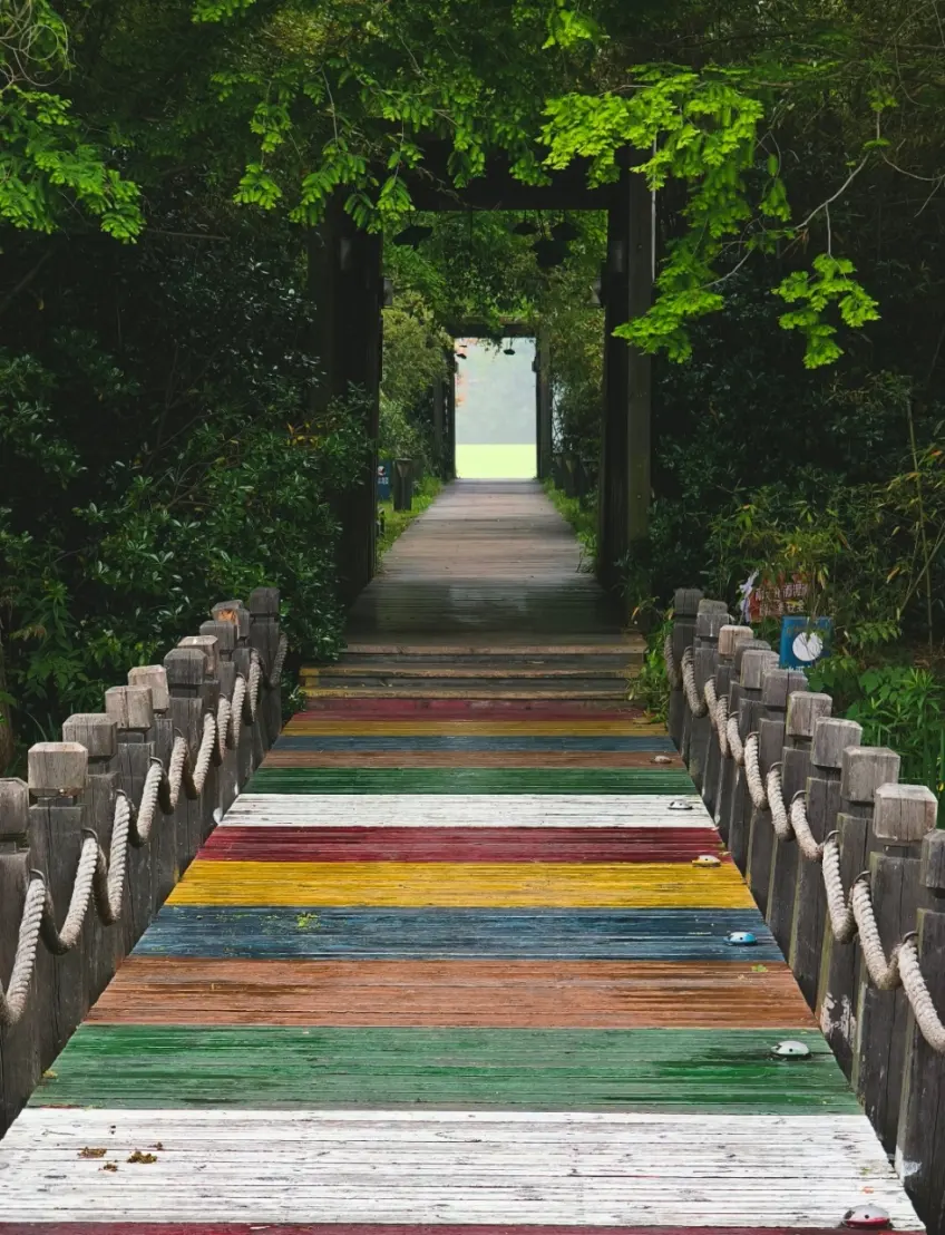 金山公園綠蔭步道景緻