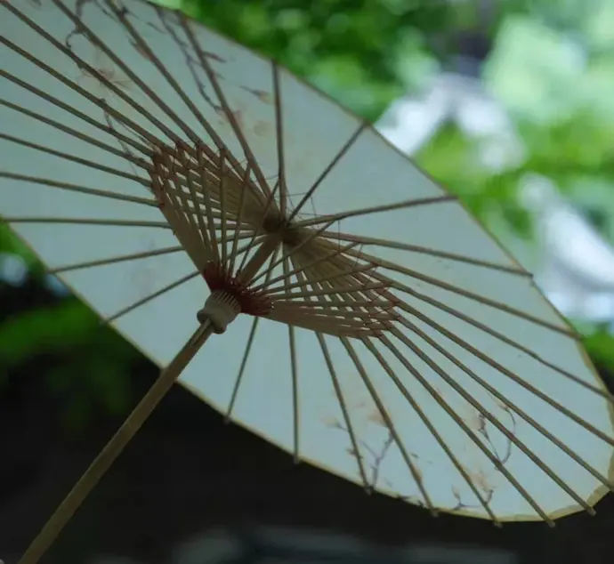 油纸伞