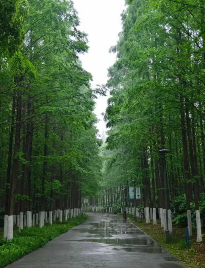 金山公园