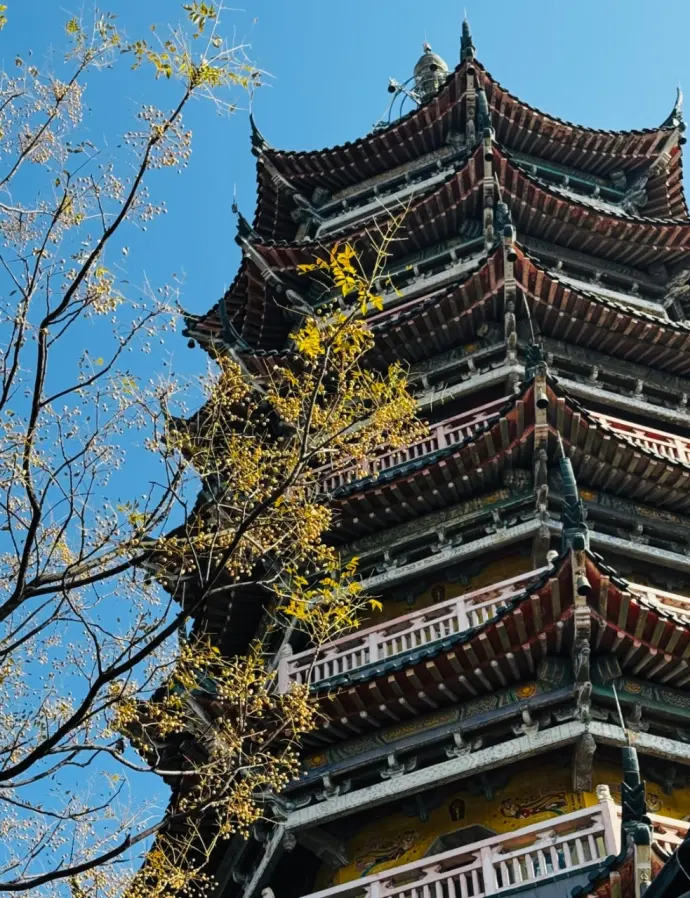 焦山风景区