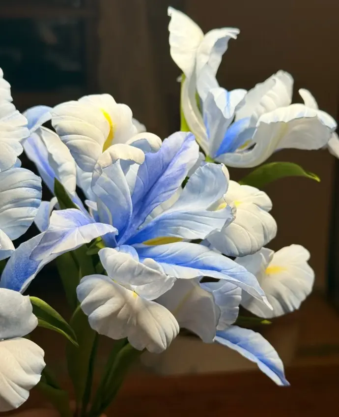 通草花