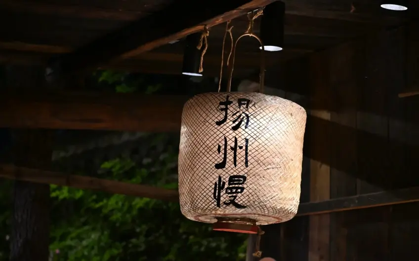 扬州慢书法灯笼夜景氛围特写
