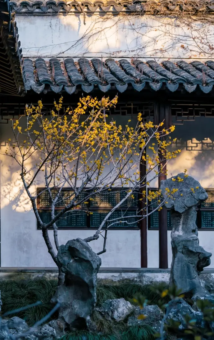 石林小院