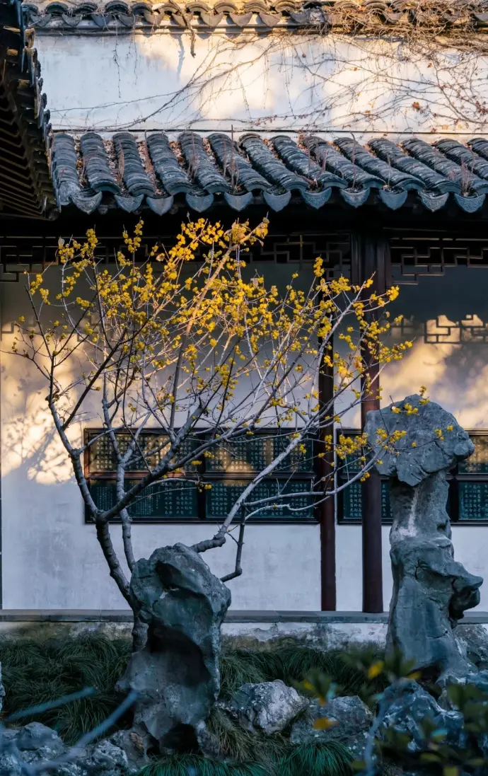 石林小院