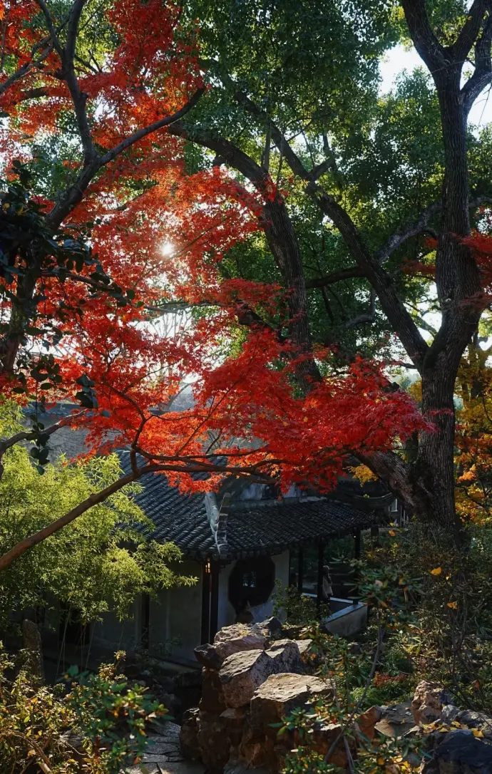 留园假山