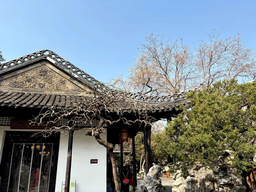 牡丹廳白牆灰瓦歇山頂與枯枝庭院