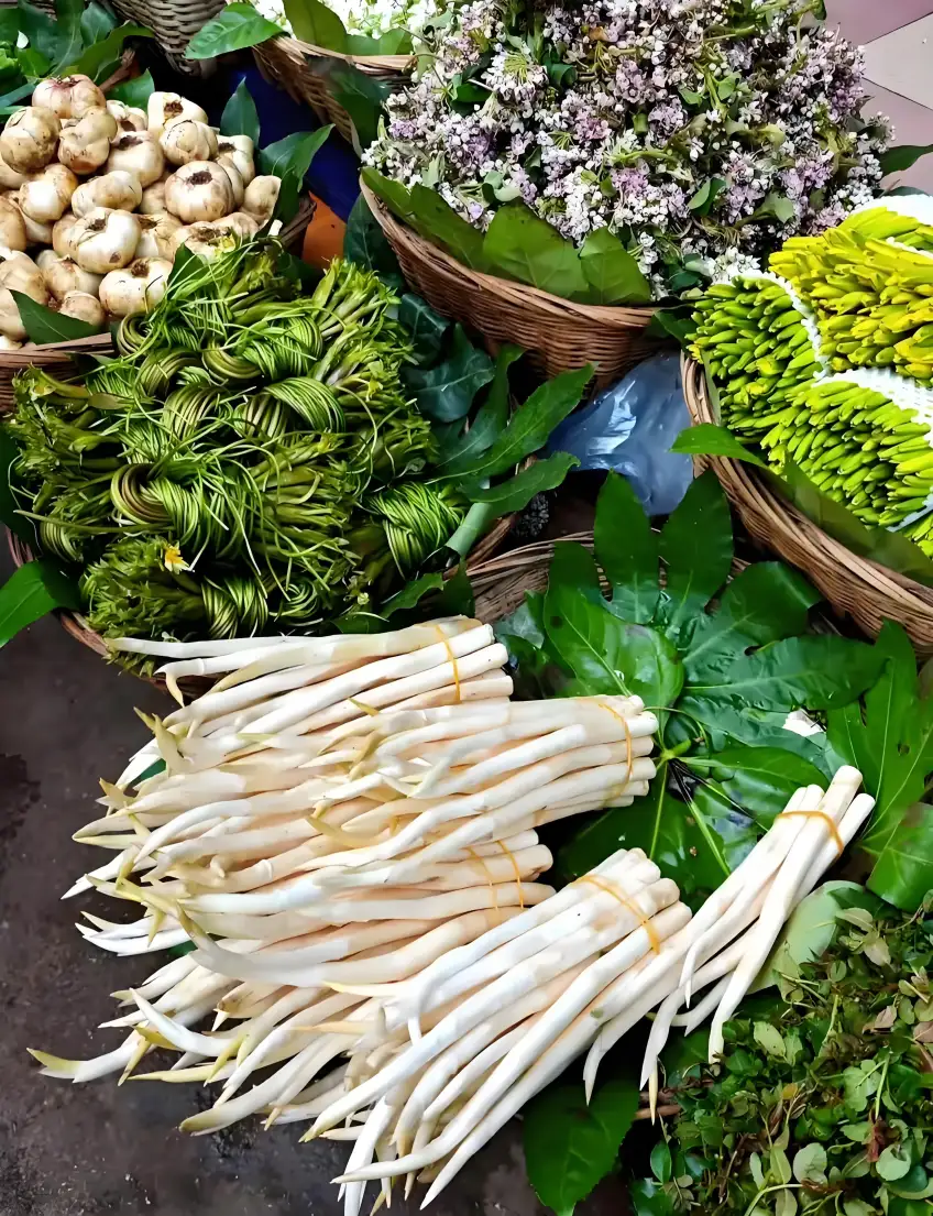 竹筐山野菜筍與黃花菜