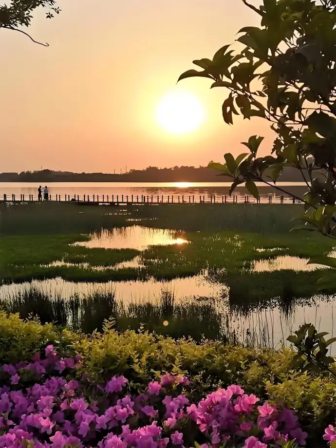 茅山湖