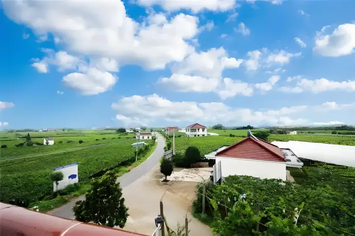 丁庄村